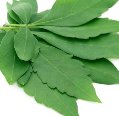 Sri Herbal Premium Dry Henna Leaves – Natural Hair and Skin Care